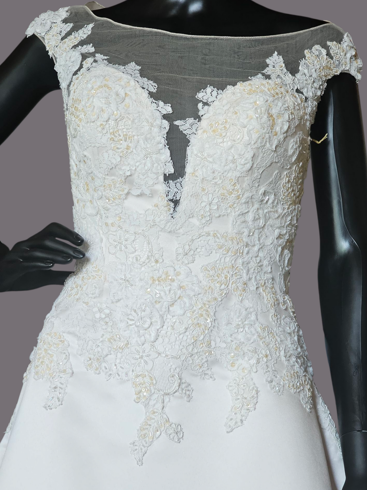 Champagne Satin Lace Illusion Plunge Bodice Open Back - Beloved