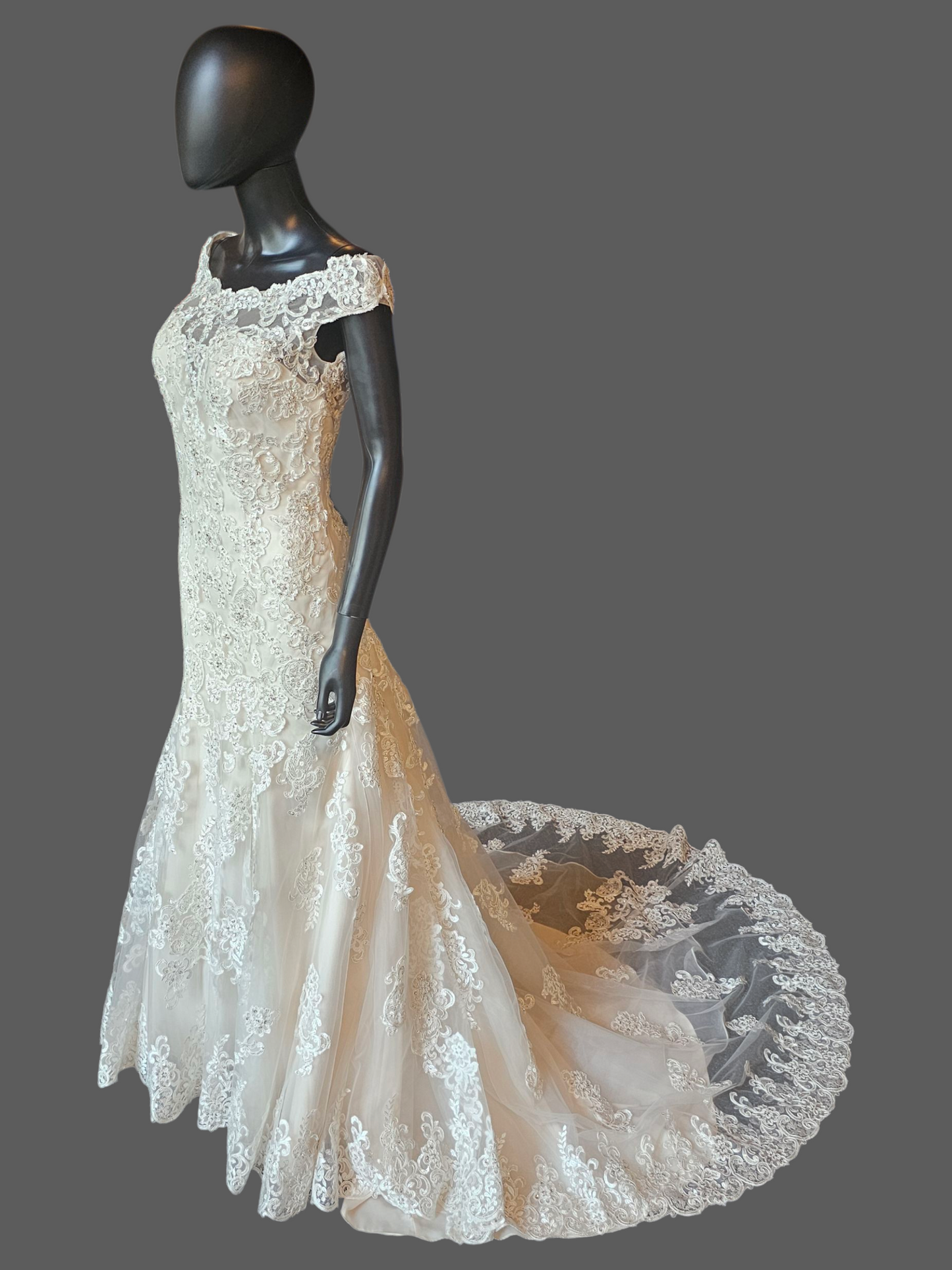 Ivory/Champagne Off Shoulder Fit and Flare Sparkle Illusion Wedding Gown