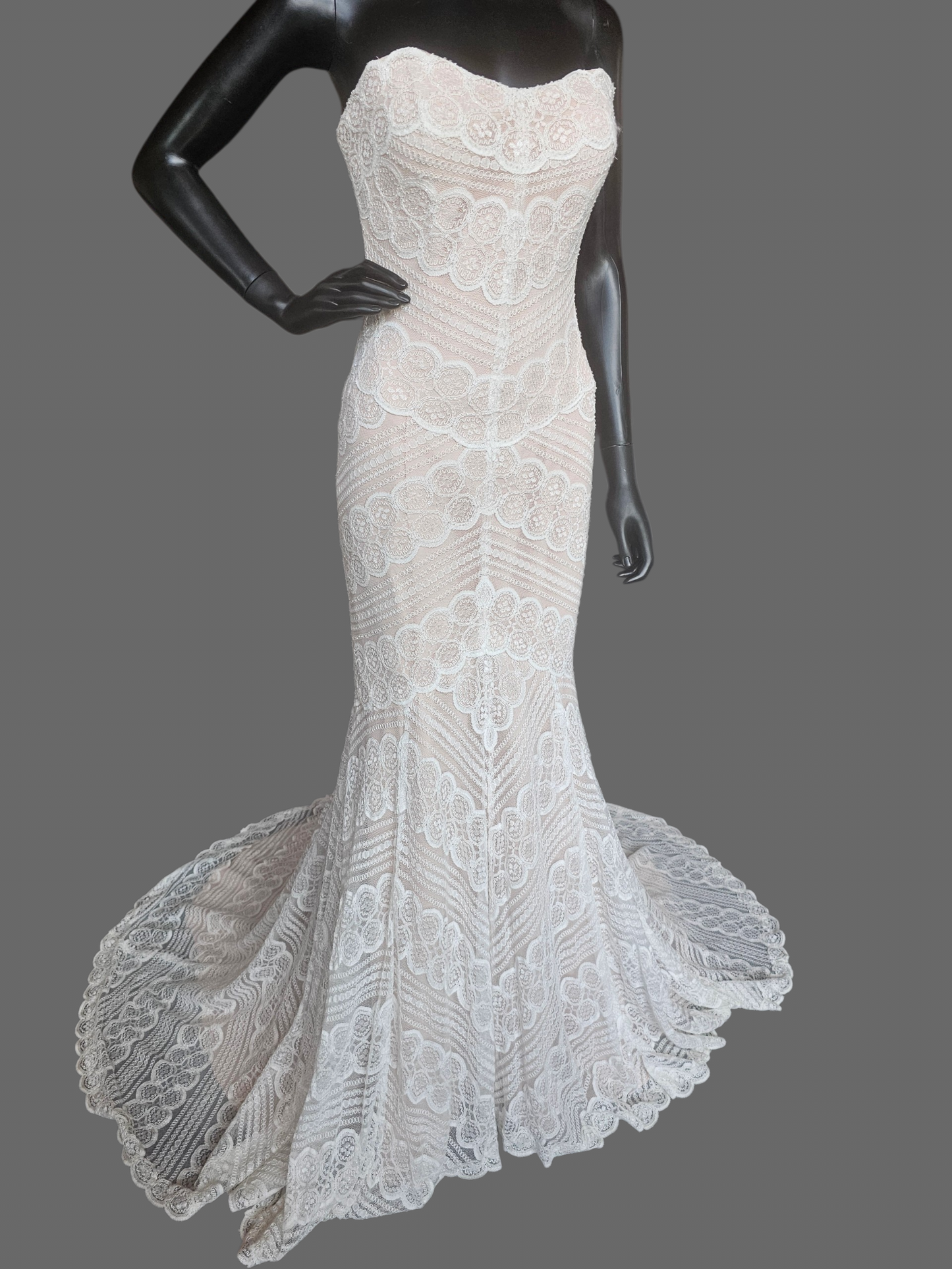 Iv/Rose Soft Lace Fit/Flare Wedding Gown - Davinci