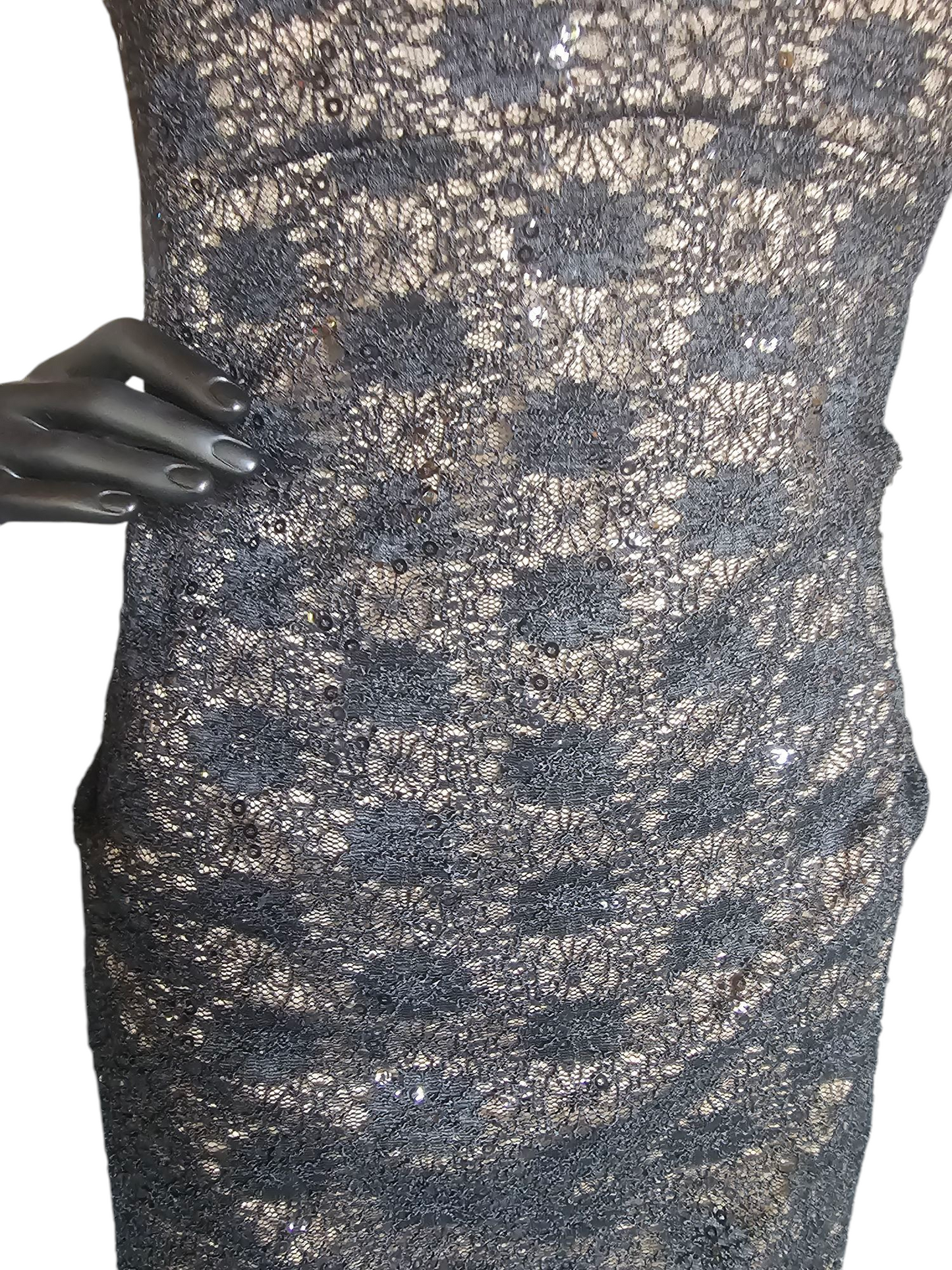 Black Lace Cap Sleeve Fitted Formal Gown NWT - Alex Evenings
