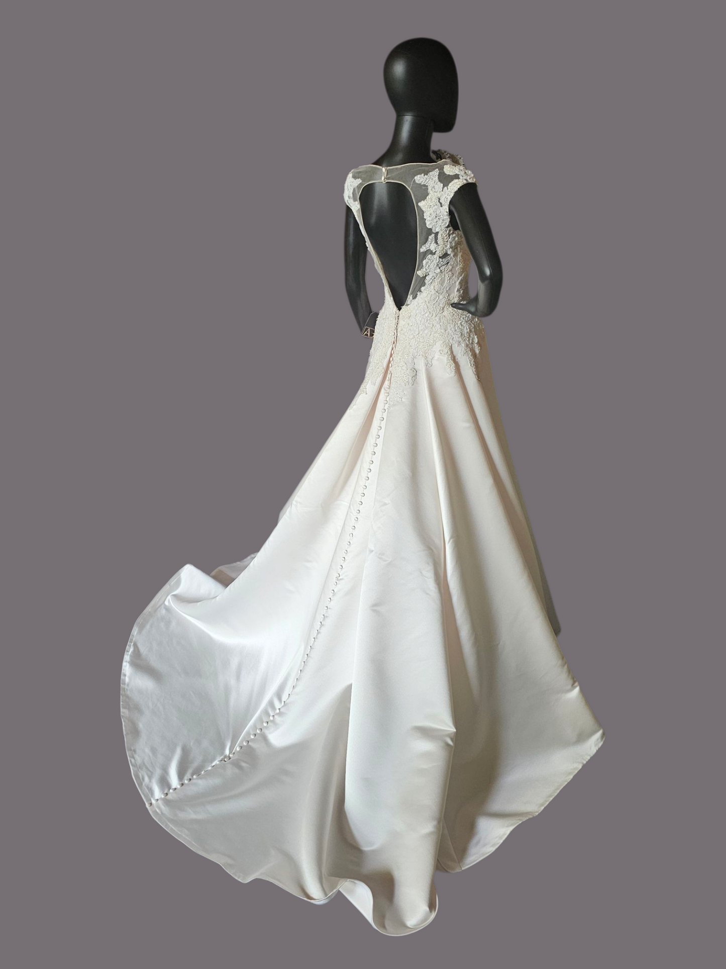 Champagne Satin Lace Illusion Plunge Bodice Open Back - Beloved