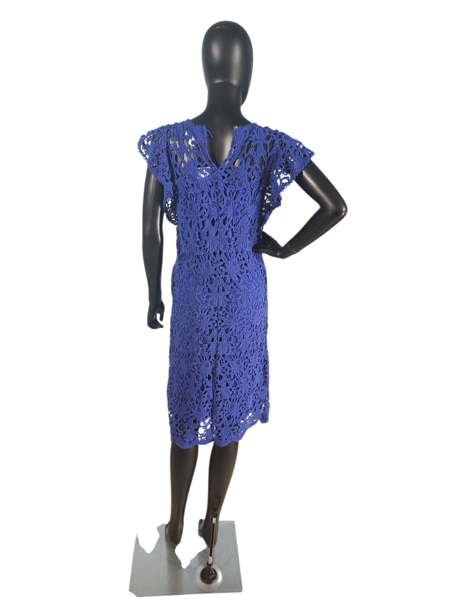 Royal Blue Cotton Lace Flutter Sleeve Mid Dress - NWT - Velvet by Graham & Spencer