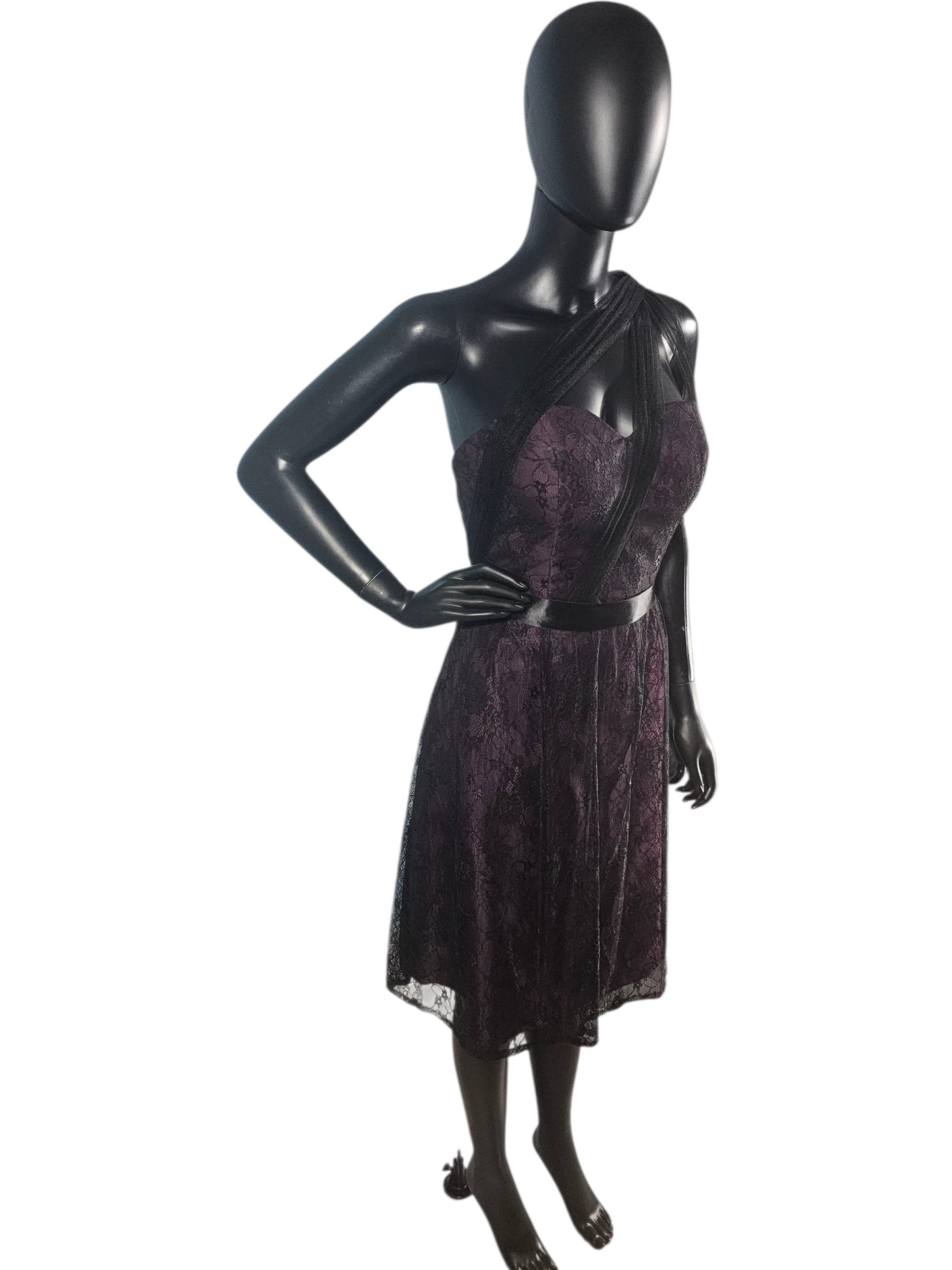Aubergine/Black Lace One Shoulder Cocktail Dress - Da Vinci