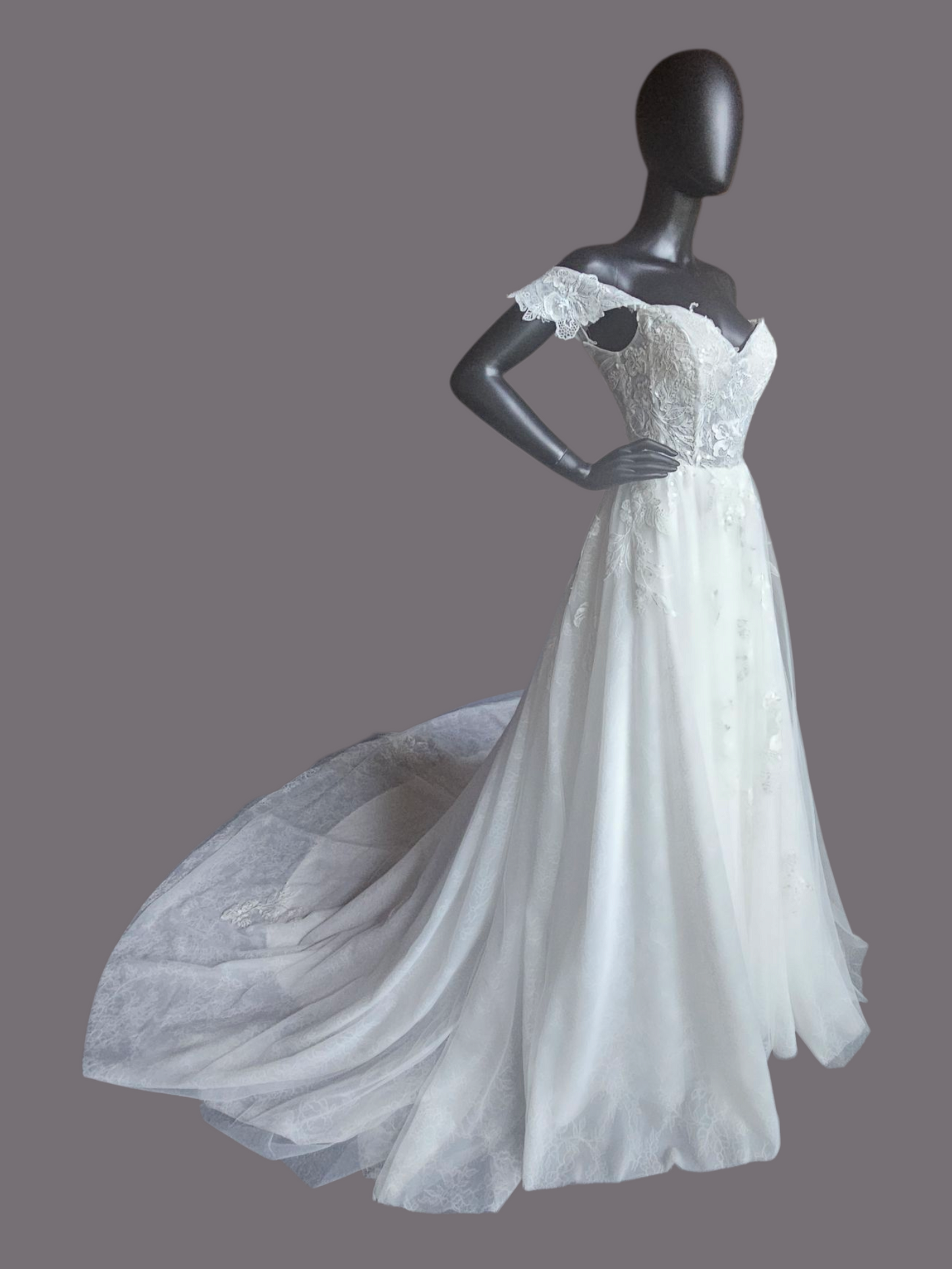 Ivory Lace Embroidered A-Line Shrug Sleeve Wedding Gown - Da Vinci