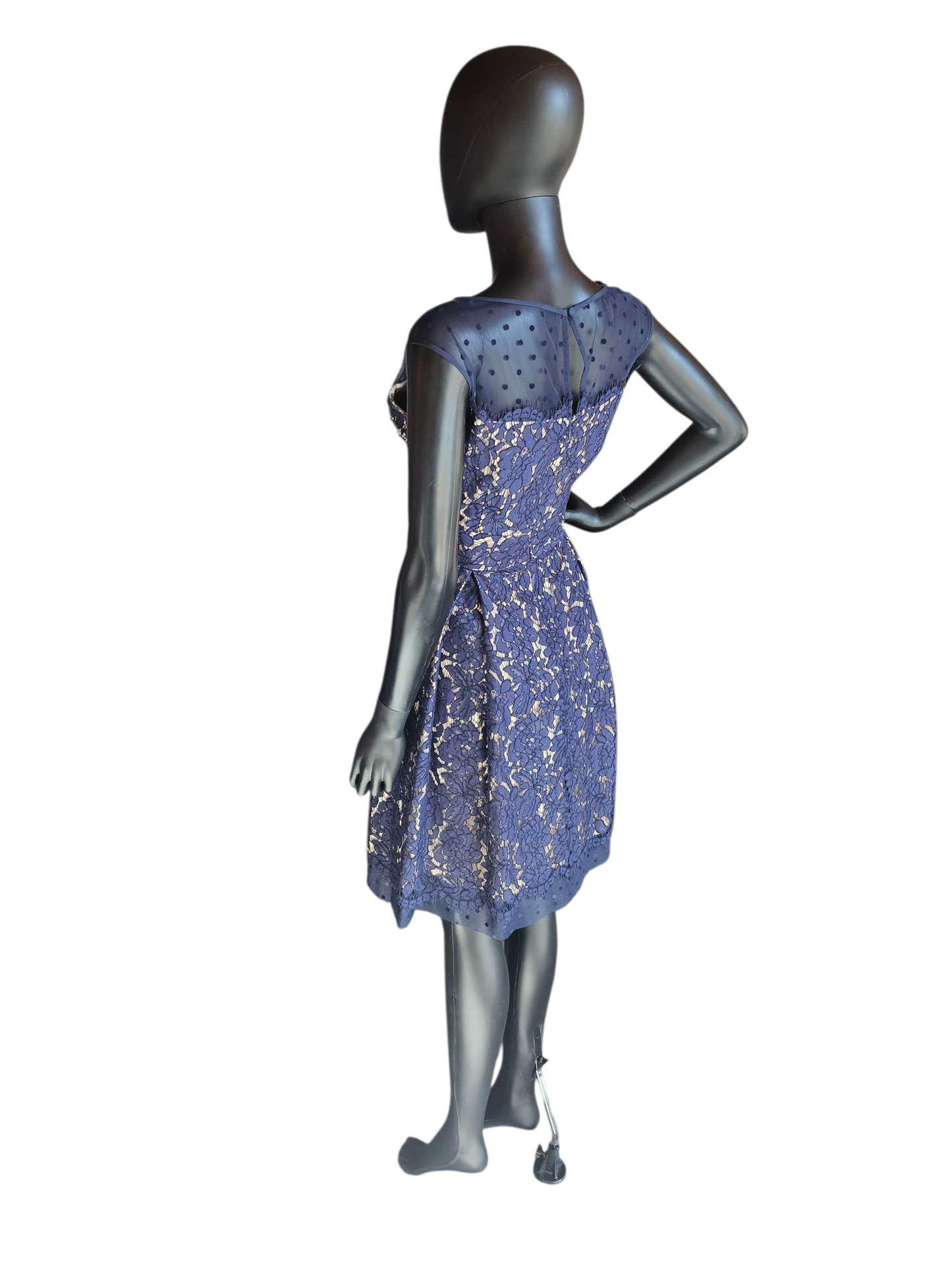 Navy Lace Cocktail Dress - Eliza J