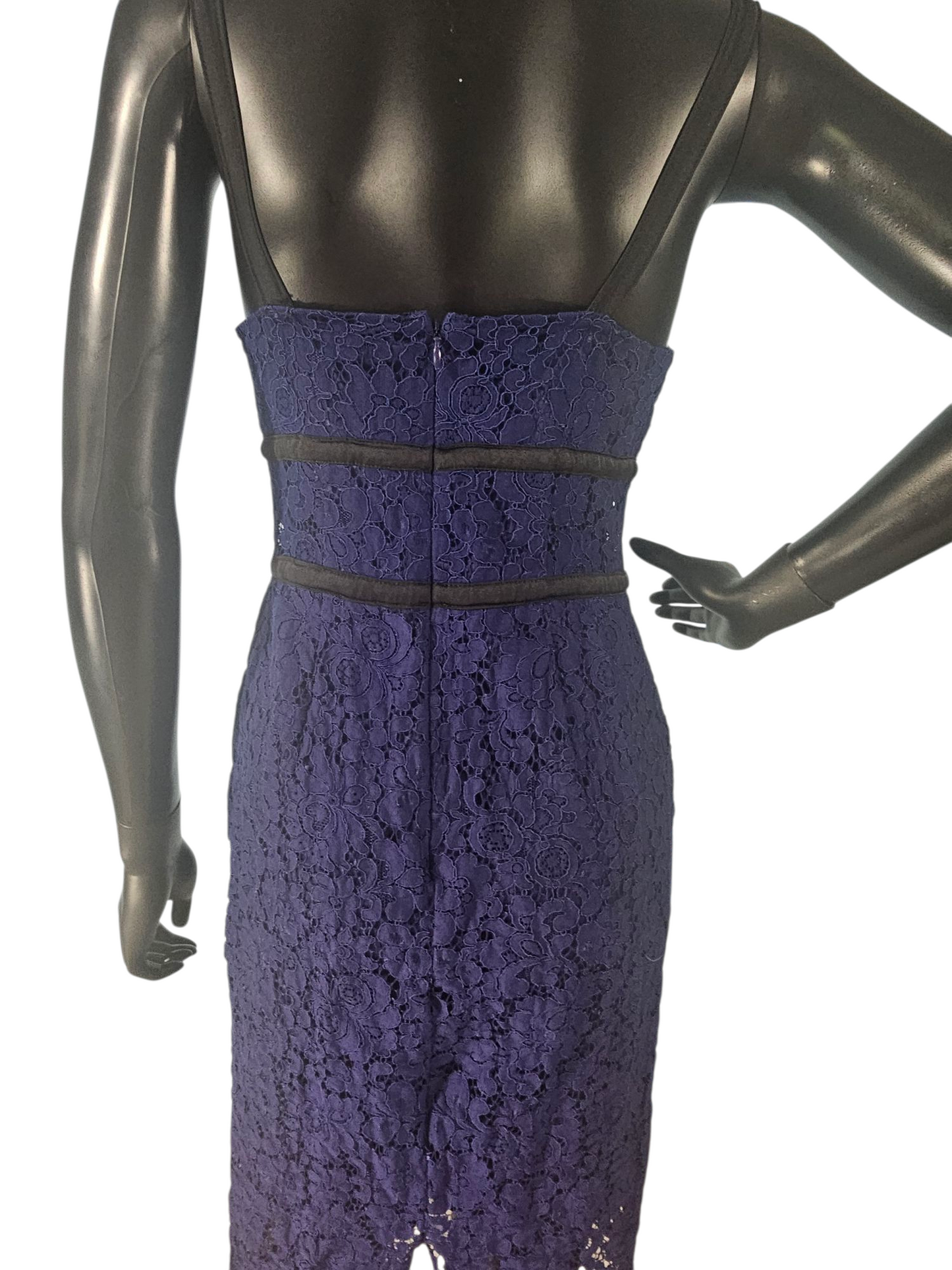 Blue Lace/Black Accent Sheath Dress - Express