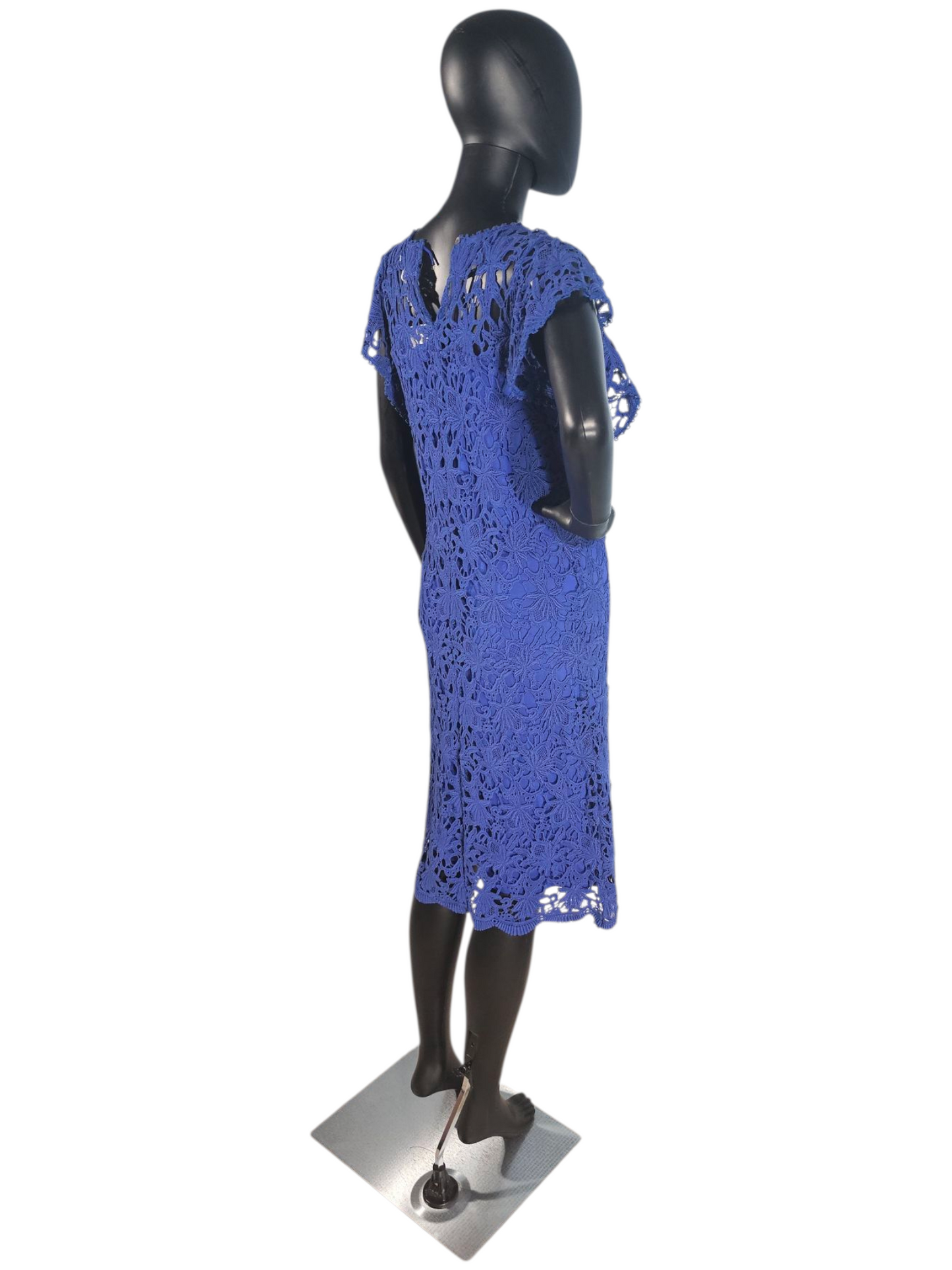 Royal Blue Cotton Lace Flutter Sleeve Mid Dress - NWT - Velvet by Graham & Spencer