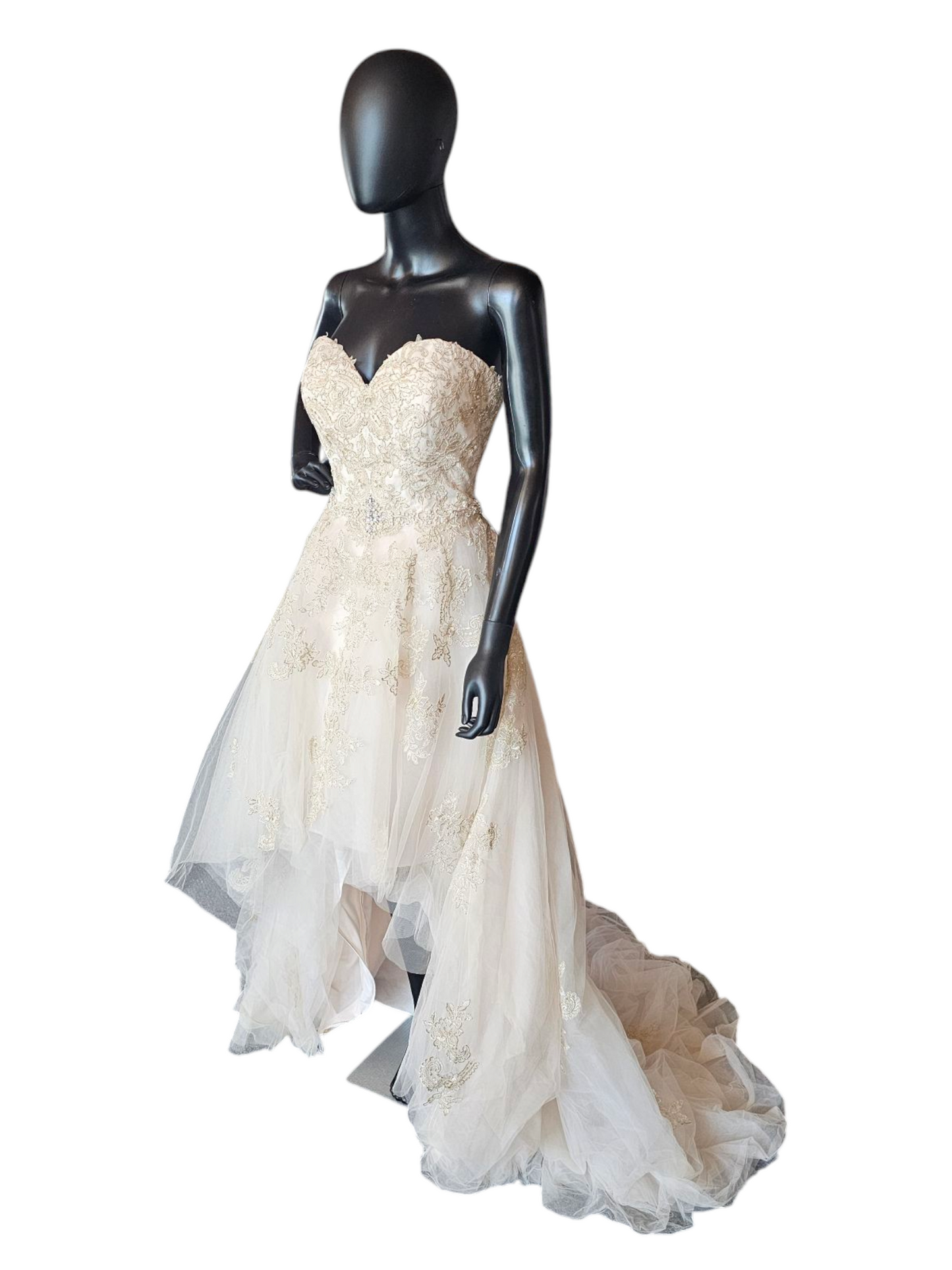 Champagne/Gold Embroidered High/Low Wedding Gown - Private Label by G