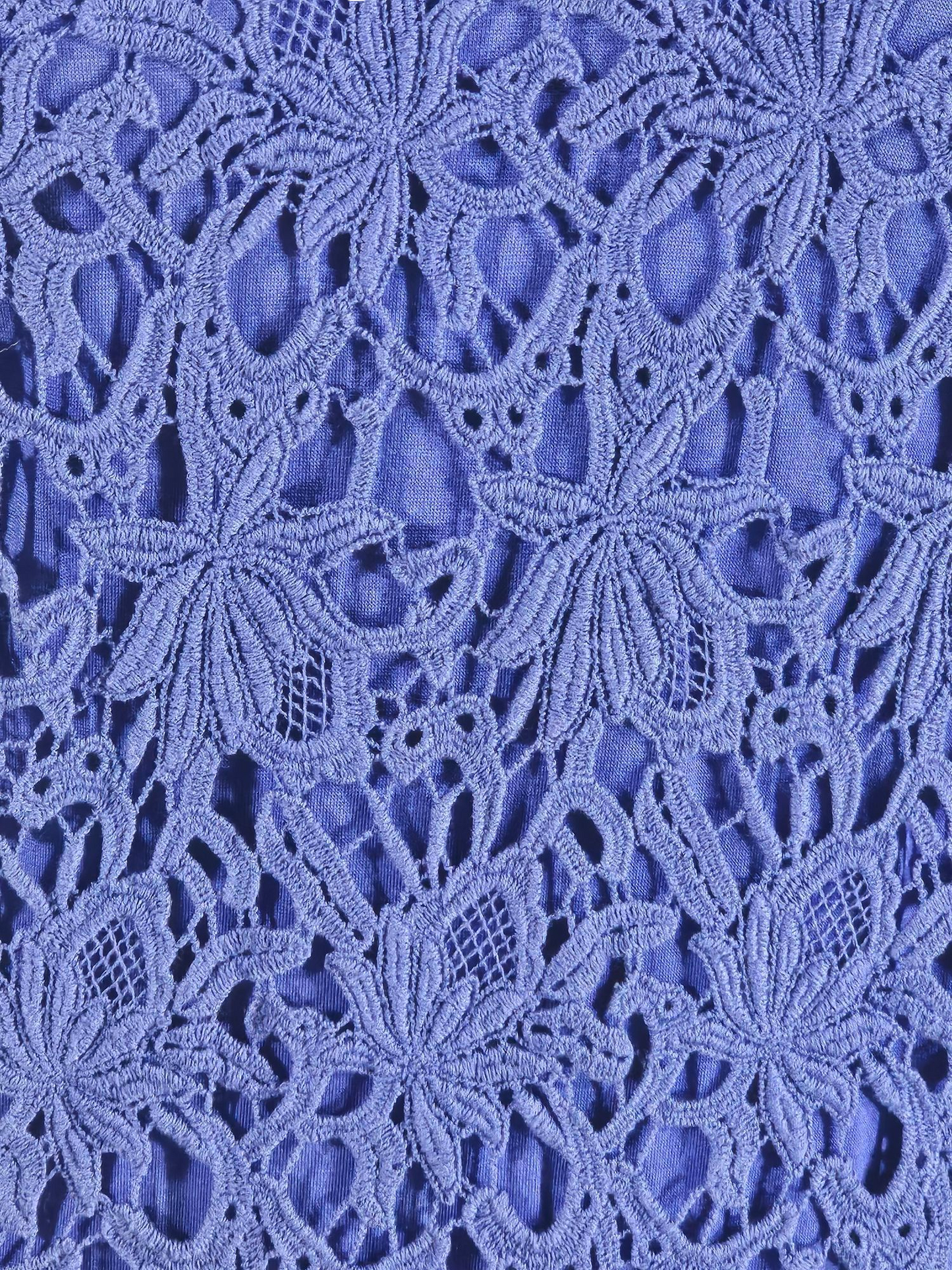 Royal Blue Cotton Lace Flutter Sleeve Mid Dress - NWT - Velvet by Graham & Spencer