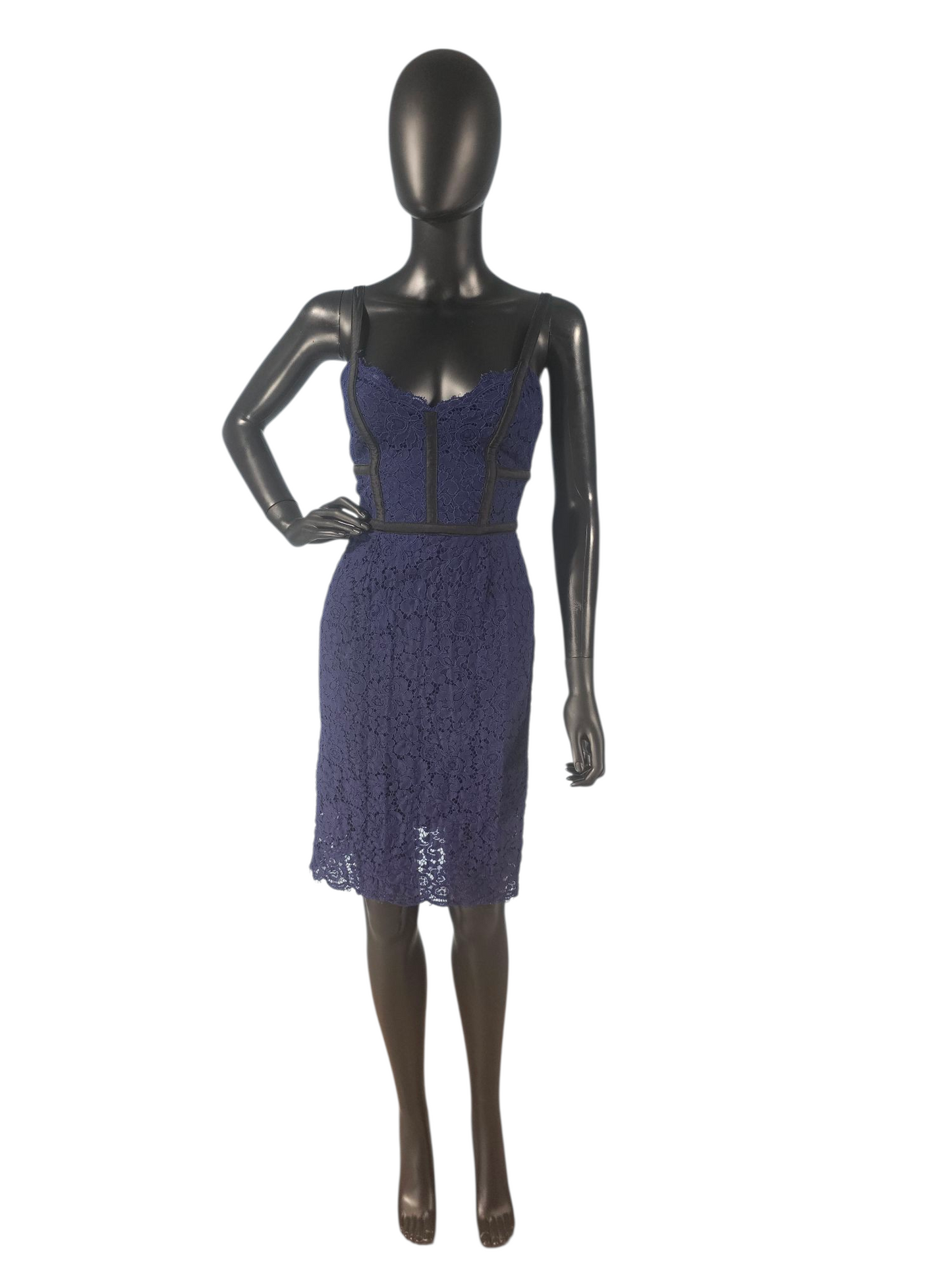 Blue Lace/Black Accent Sheath Dress - Express