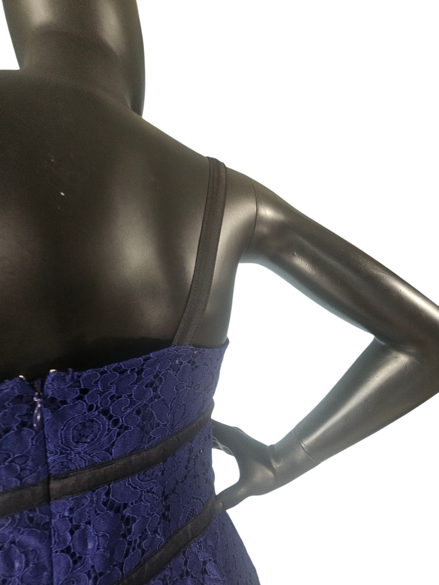 Blue Lace/Black Accent Sheath Dress - Express