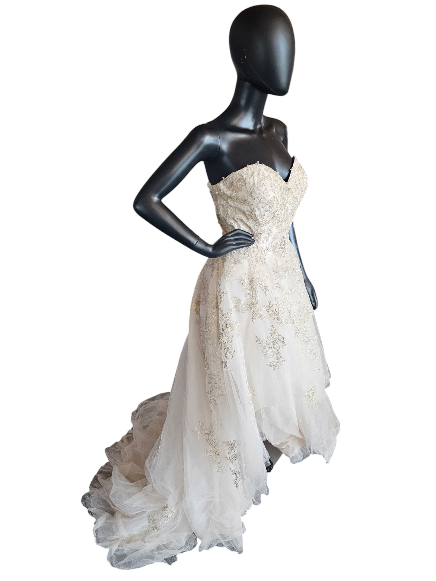 Champagne/Gold Embroidered High/Low Wedding Gown - Private Label by G