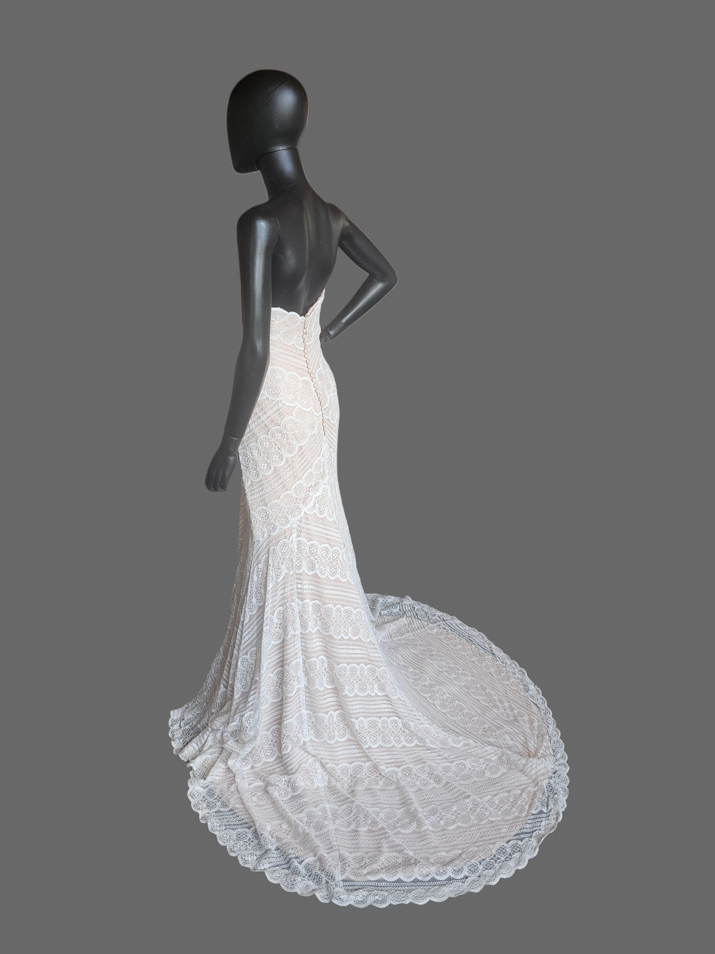 Iv/Rose Soft Lace Fit/Flare Wedding Gown - Davinci