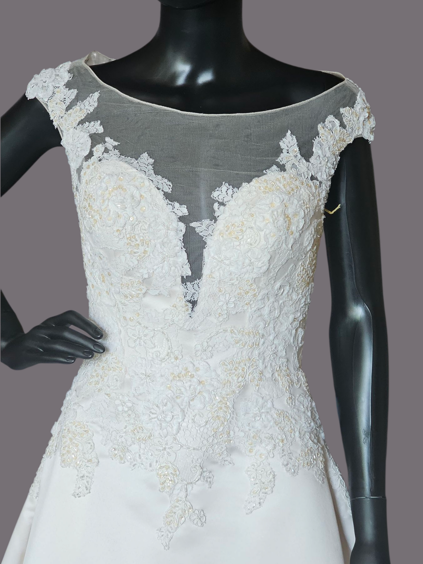 Champagne Satin Lace Illusion Plunge Bodice Open Back - Beloved