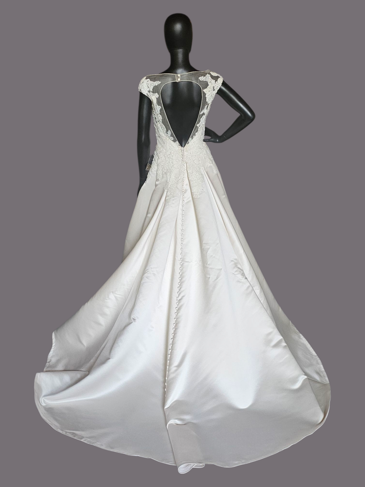 Champagne Satin Lace Illusion Plunge Bodice Open Back - Beloved