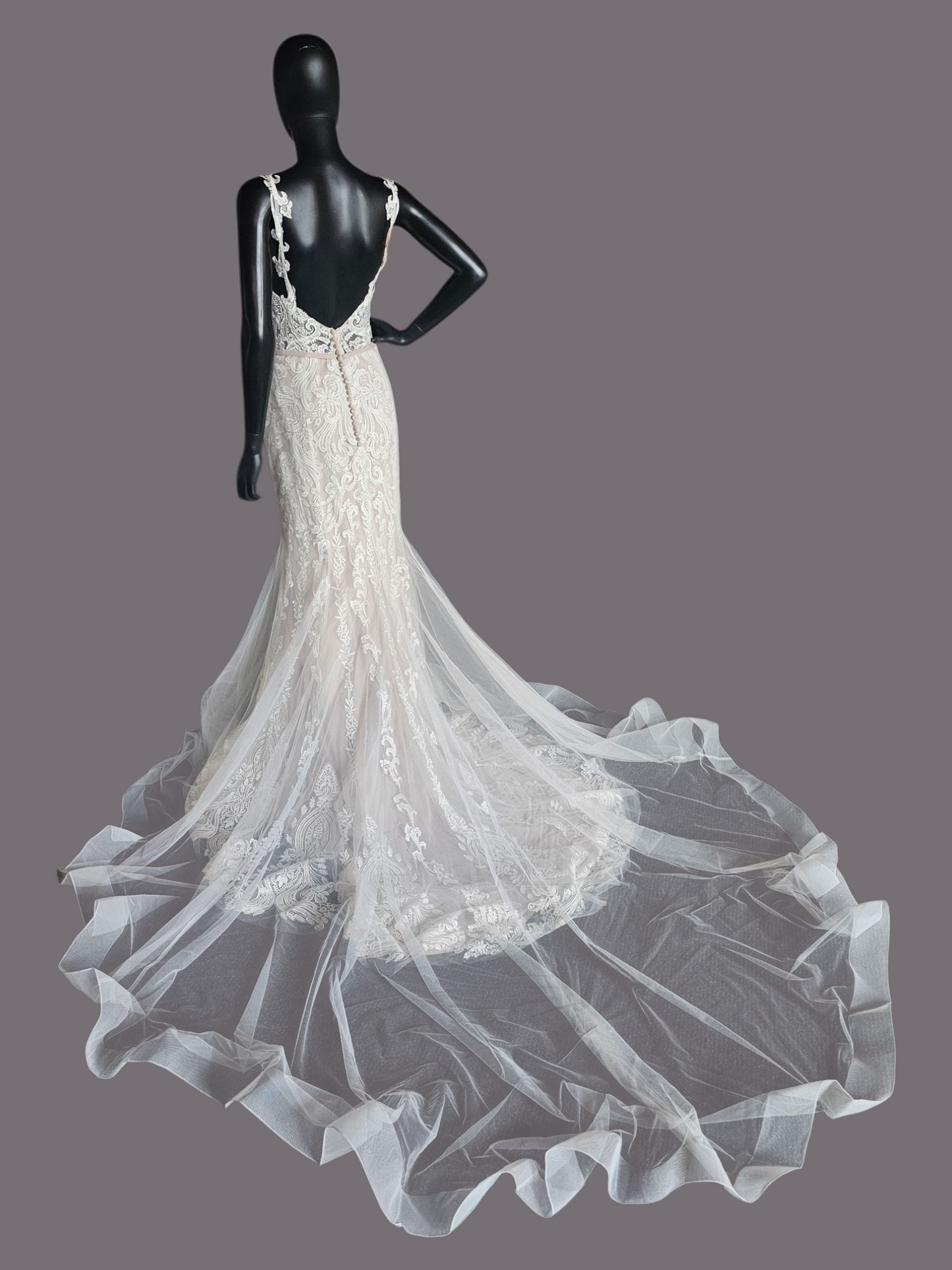 Ivory/Cappuccino Lace Applique Fit and Flare - Mori Lee