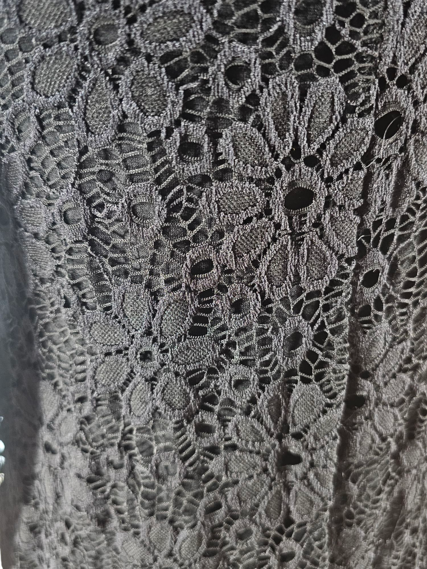 Black Lace Swing Party Dress - Ginger G