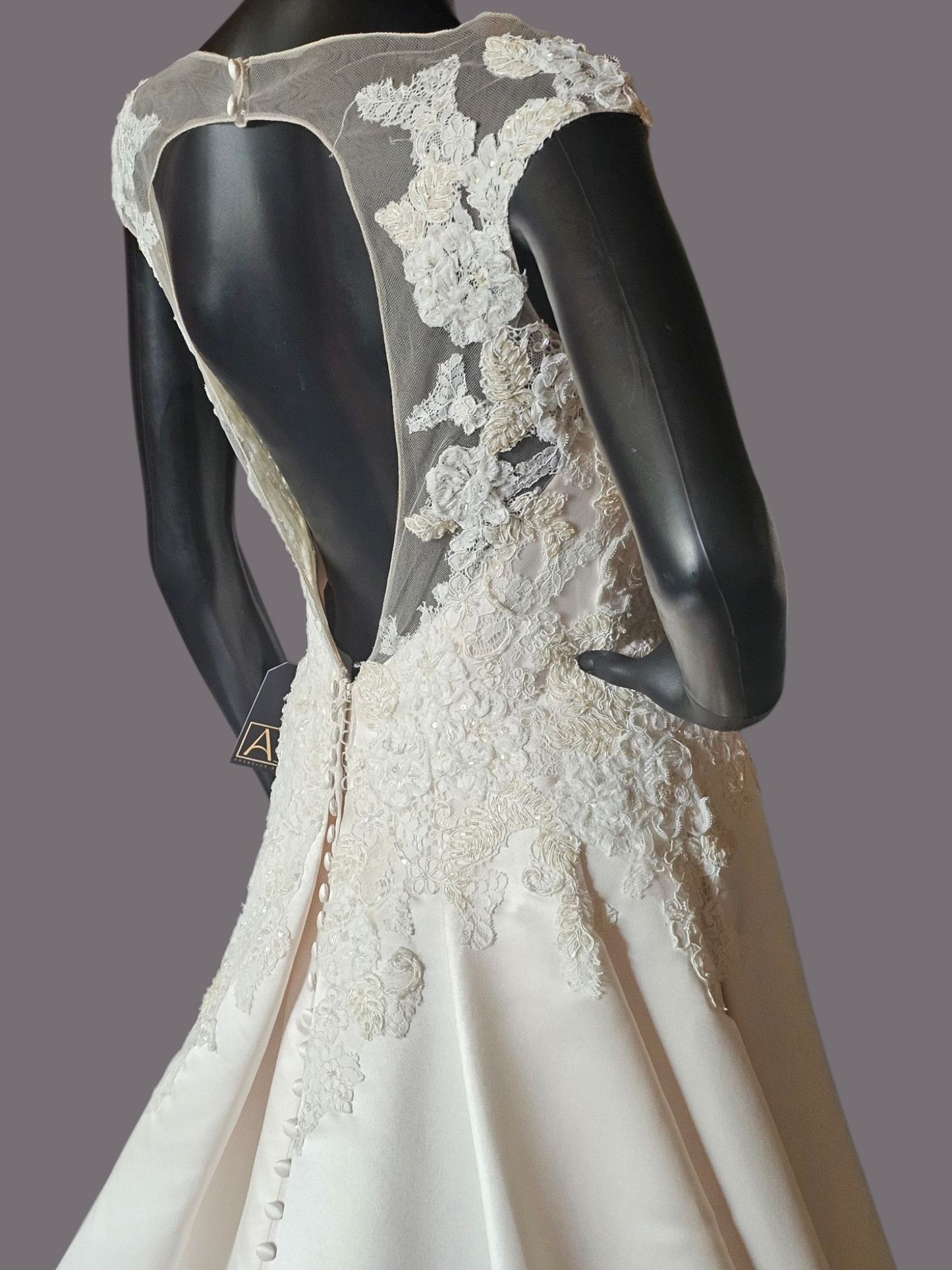 Champagne Satin Lace Illusion Plunge Bodice Open Back - Beloved