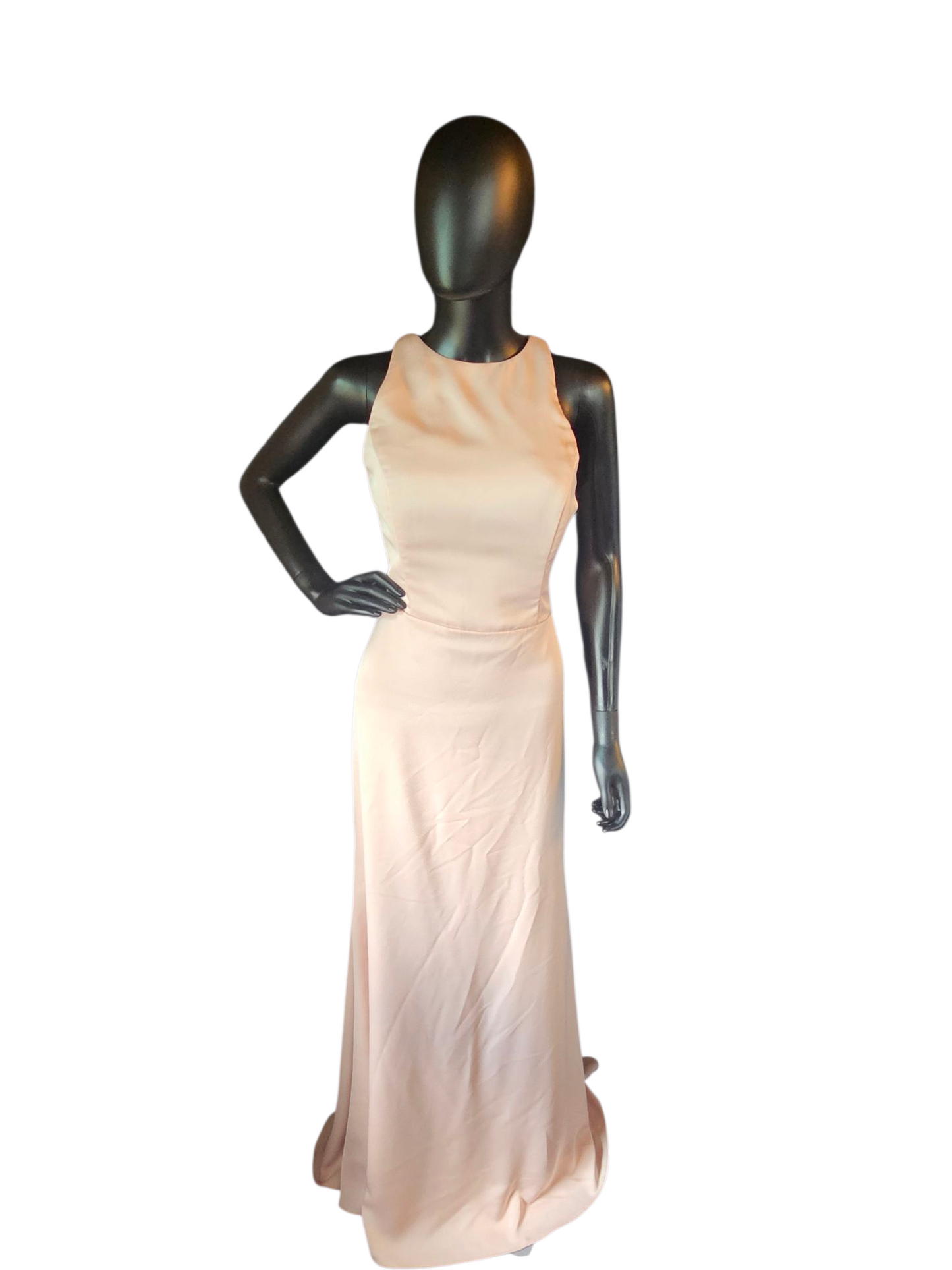 Hayley Paige Froze Crepe Maxi Formal Dress