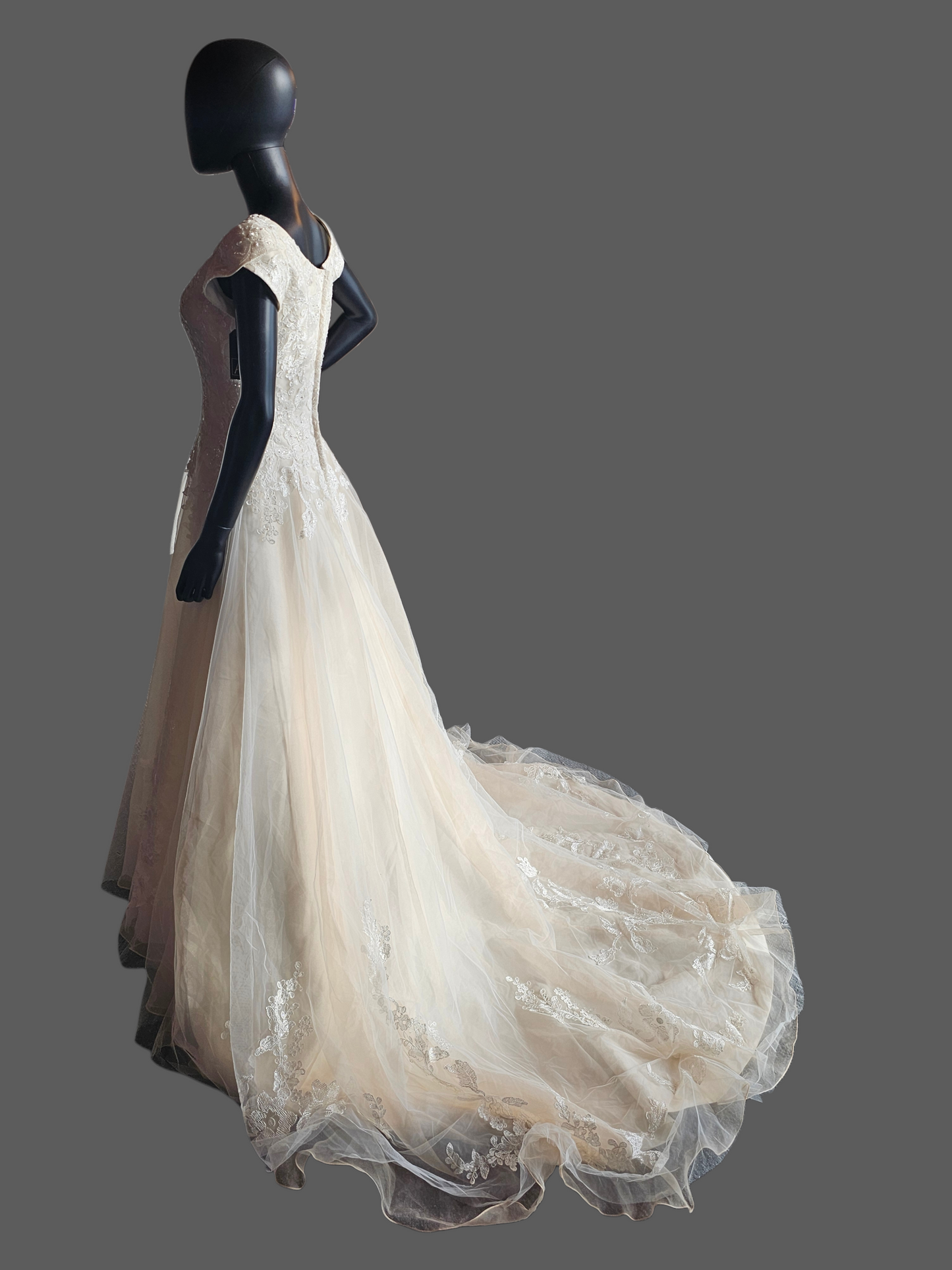 Champagne A-Line Cap Sleeve Floral Embroidered Wedding Gown - Bliss