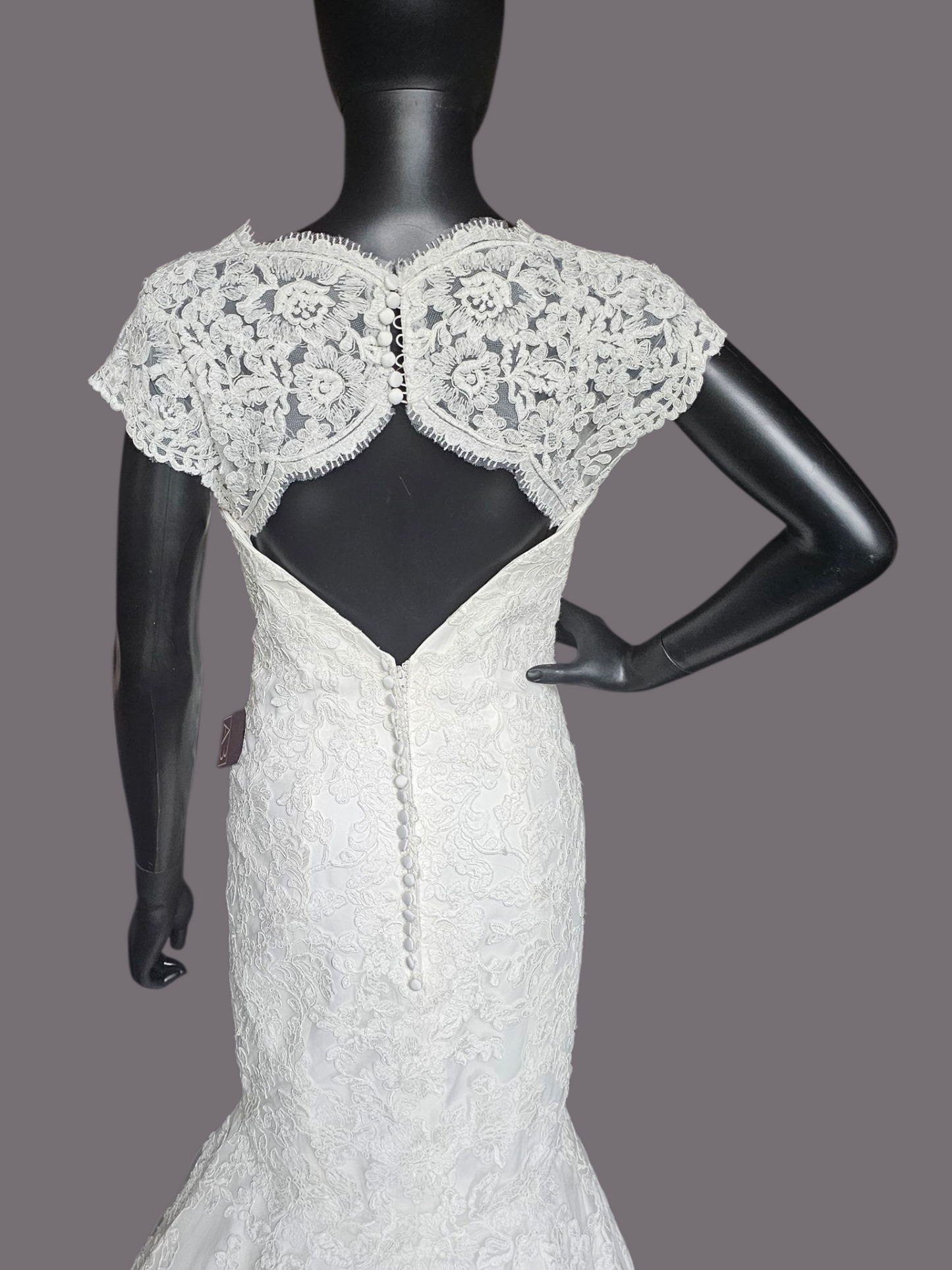 Ivory Full Lace Fit/Flare Wedding Gown - Mori Lee