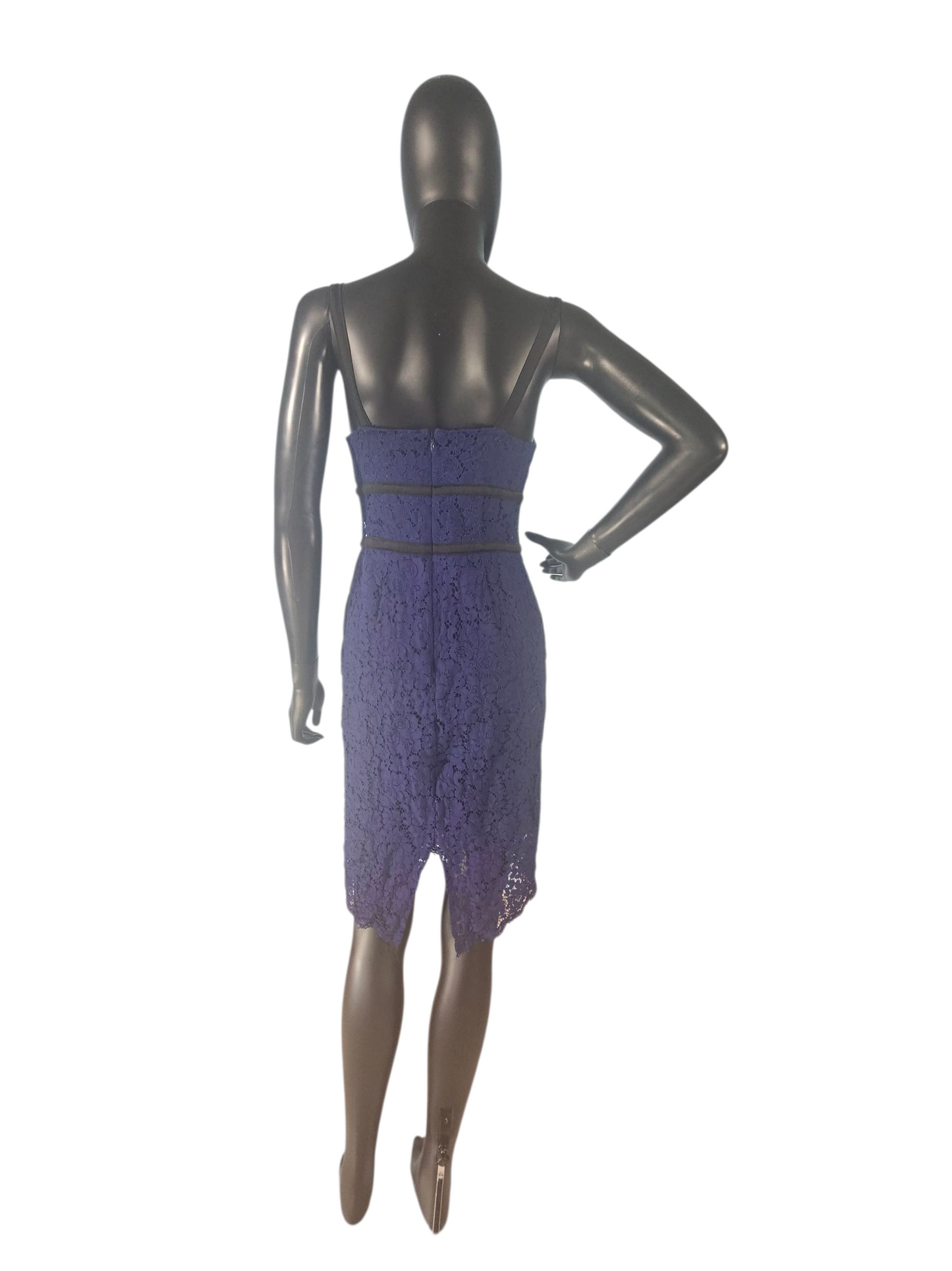 Blue Lace/Black Accent Sheath Dress - Express