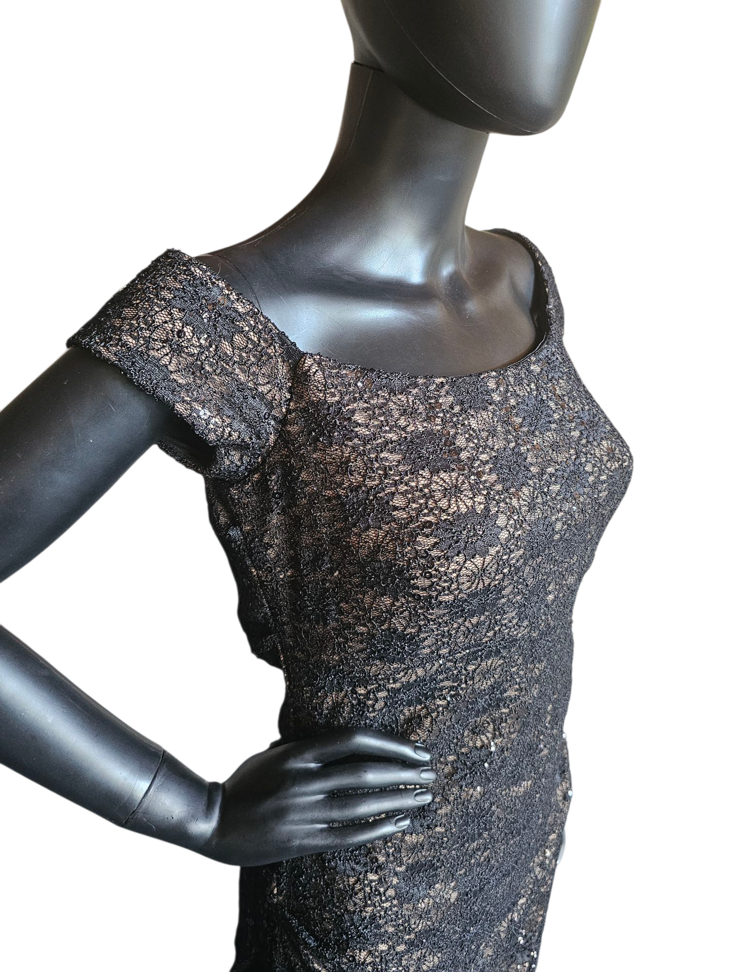 Black Lace Cap Sleeve Fitted Formal Gown NWT - Alex Evenings