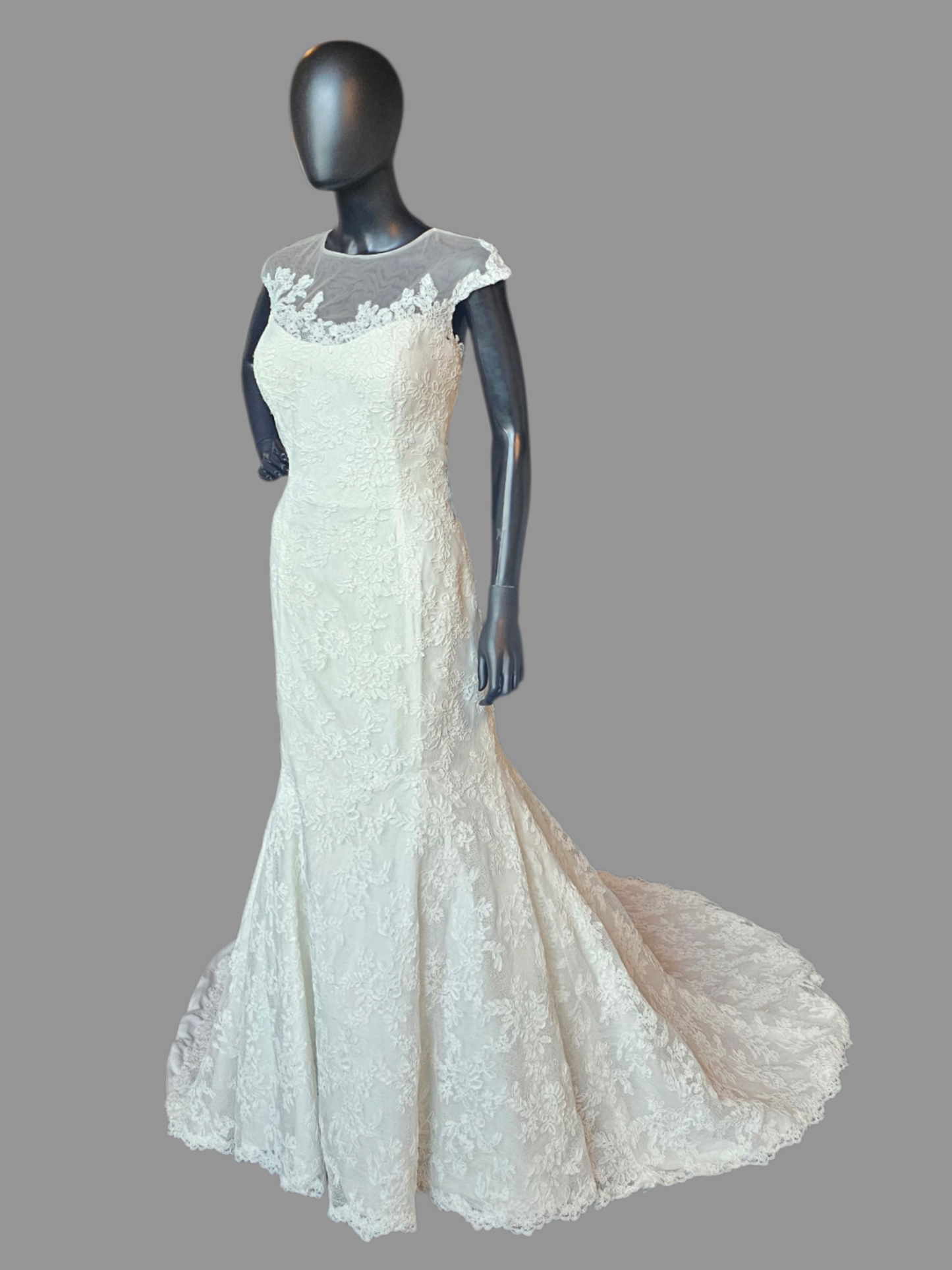 Ivory Lace Illusion Neckline - Da Vinci
