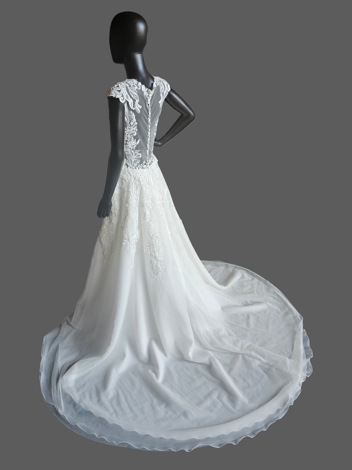 Ivory Illusion Cap Sleeve A-Line Net Wedding Gown - Mori Lee